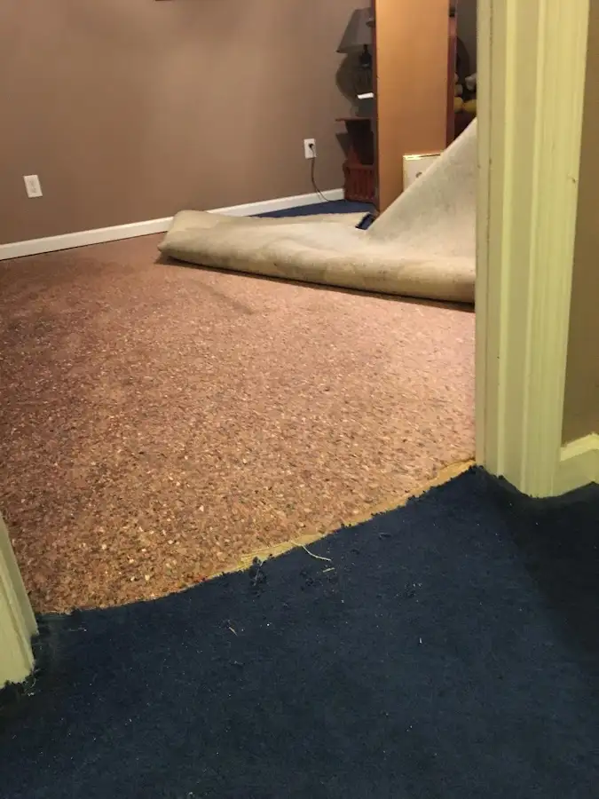 Carpet pad removal revealing water damage during Drying & Dehumidification in Midland