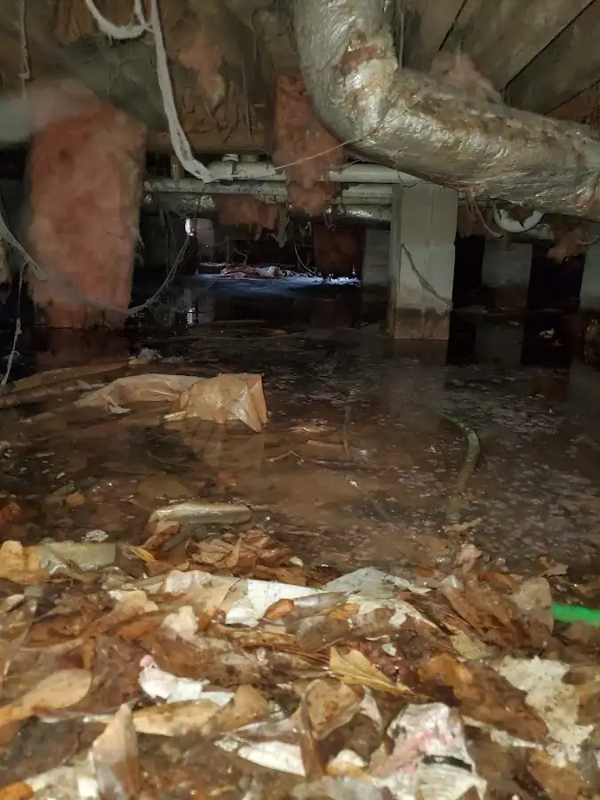Crawl space flood assessment for Leak Detection & Repair in Midland