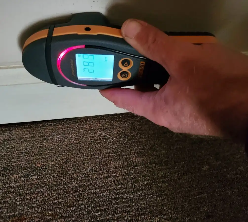 Moisture detection at baseboard during Sewage Cleanup & Sanitation in Midland